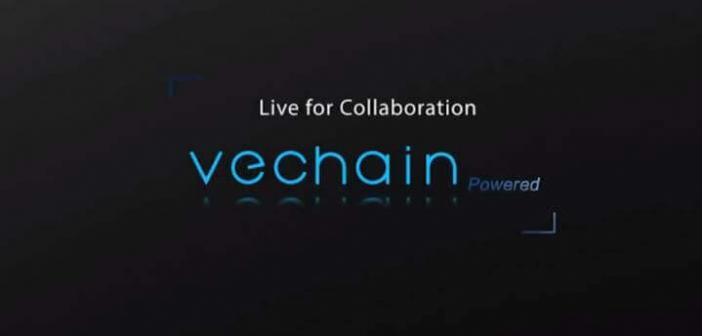 What is VeChain