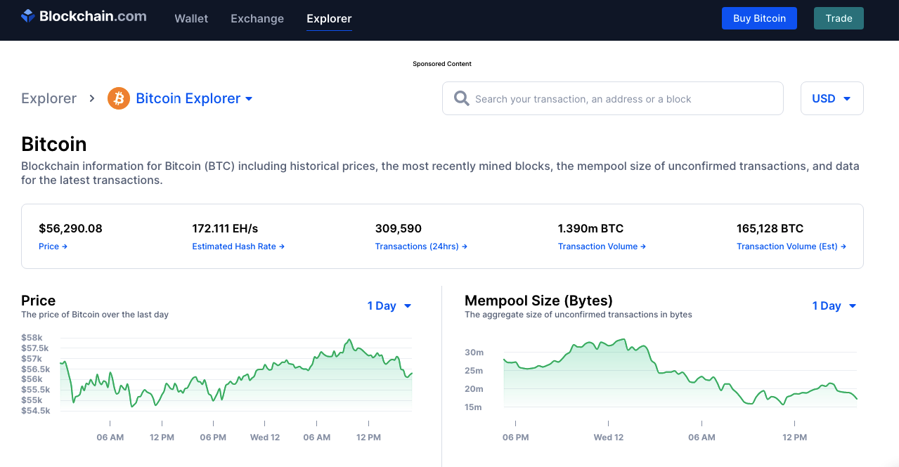 Blockchain Explorer