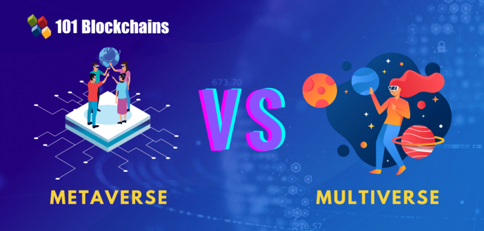 metaverse vs multiverse