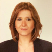 Ceyda Gulen Goknar