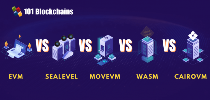 Blockchain Execution Environments Comparison