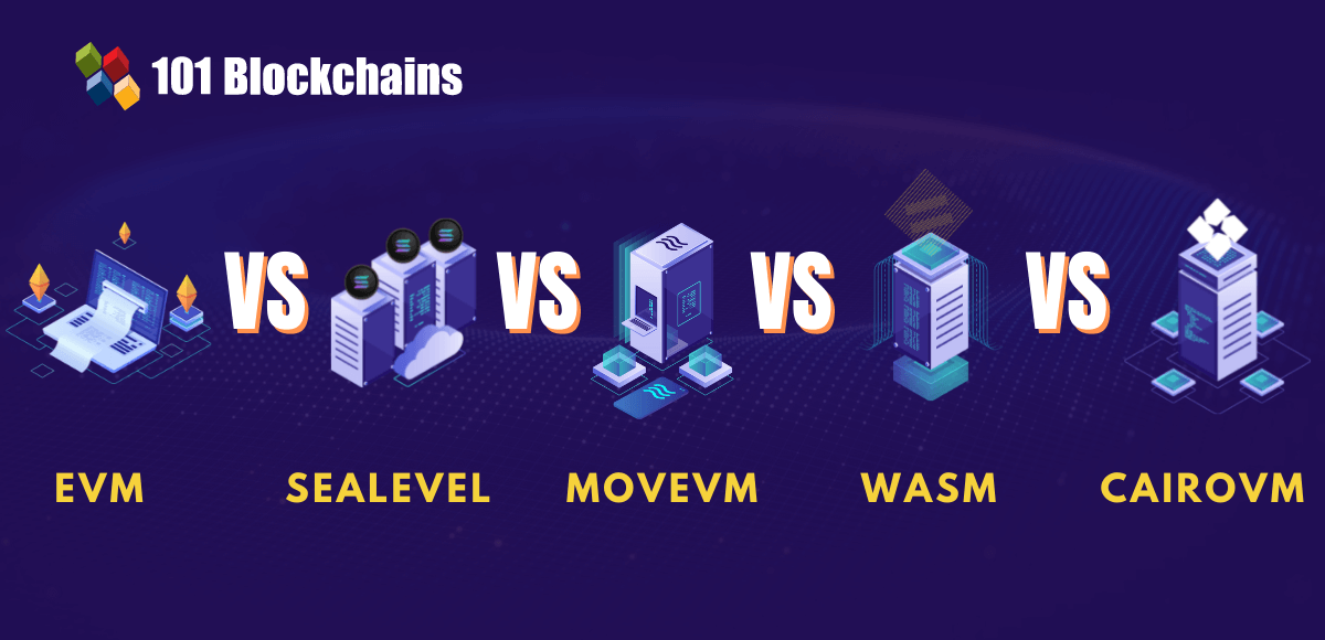 Blockchain Execution Environments Comparison