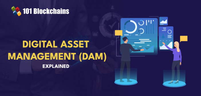 digital asset management guide