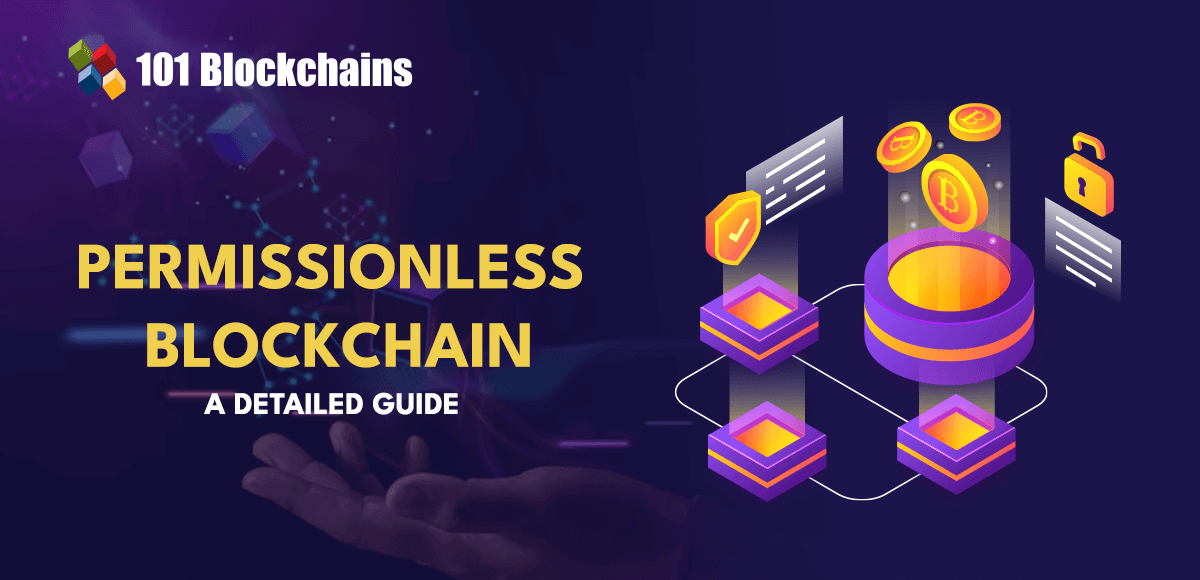 permissionless blockchain guide